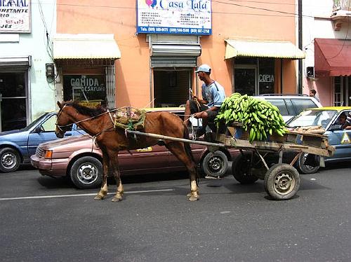 Santo Domingo